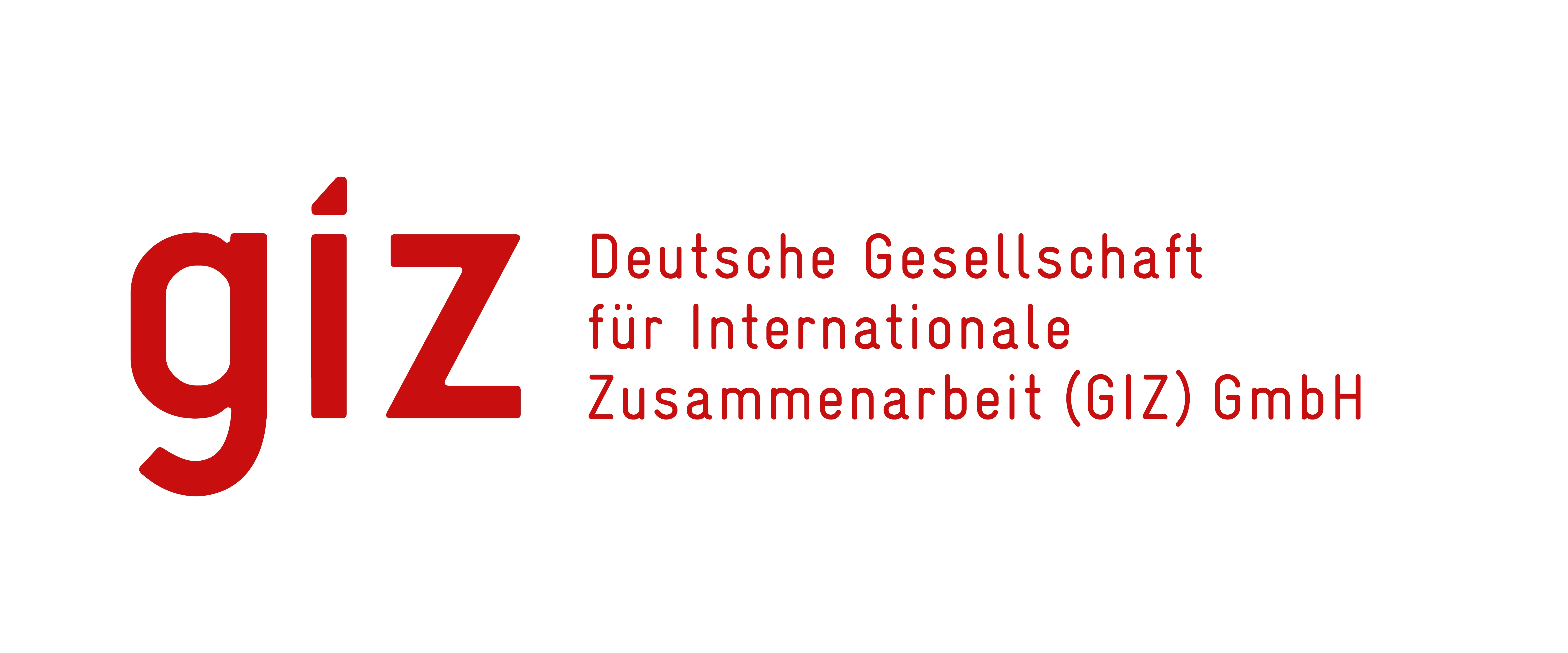 GIZ and international organizations